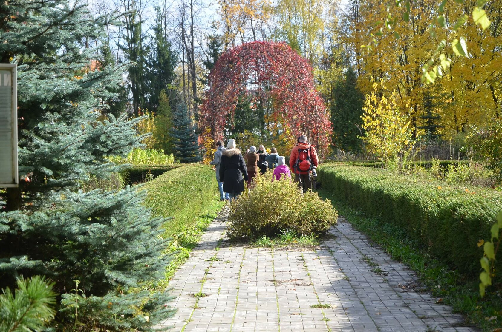 Ботанический сад в Москве: уникальная флора и фауна