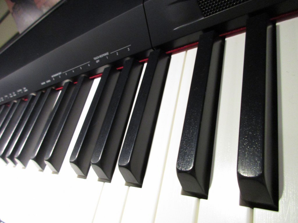 Top piano. Casio Privia px-160. Casio Privia px-860. Privia px 135. Фортепиано Касио привия px 860 BK.