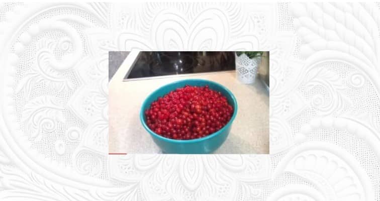 Приготовление калины с сахаром без варки: шаг 3