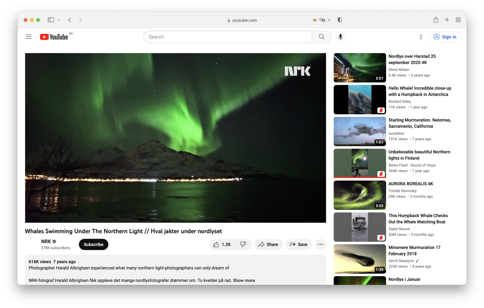 How To Add a Video To the Page │ Tilda Help Center