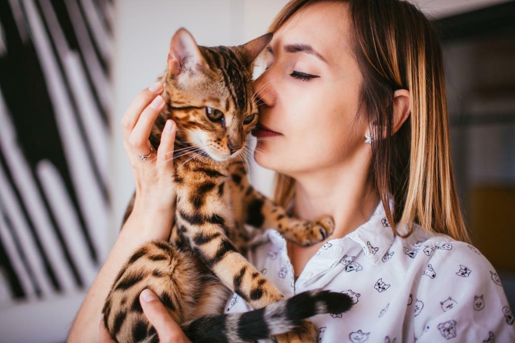 Укусы кошек: как научить кошку не кусаться и не царапаться