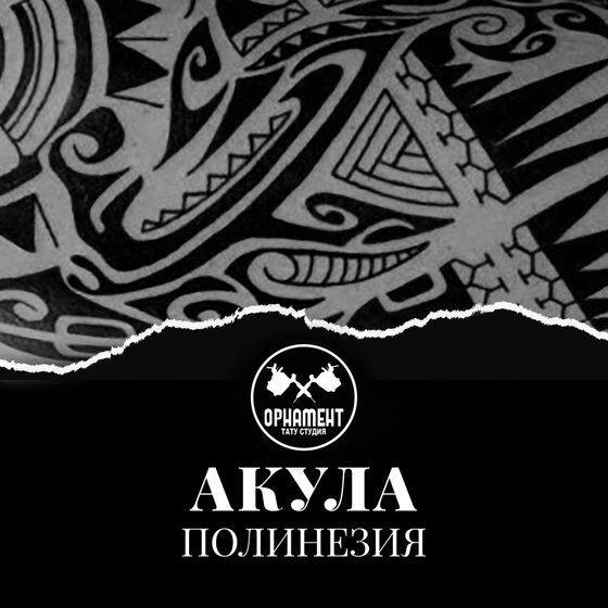 Тату акула-молот