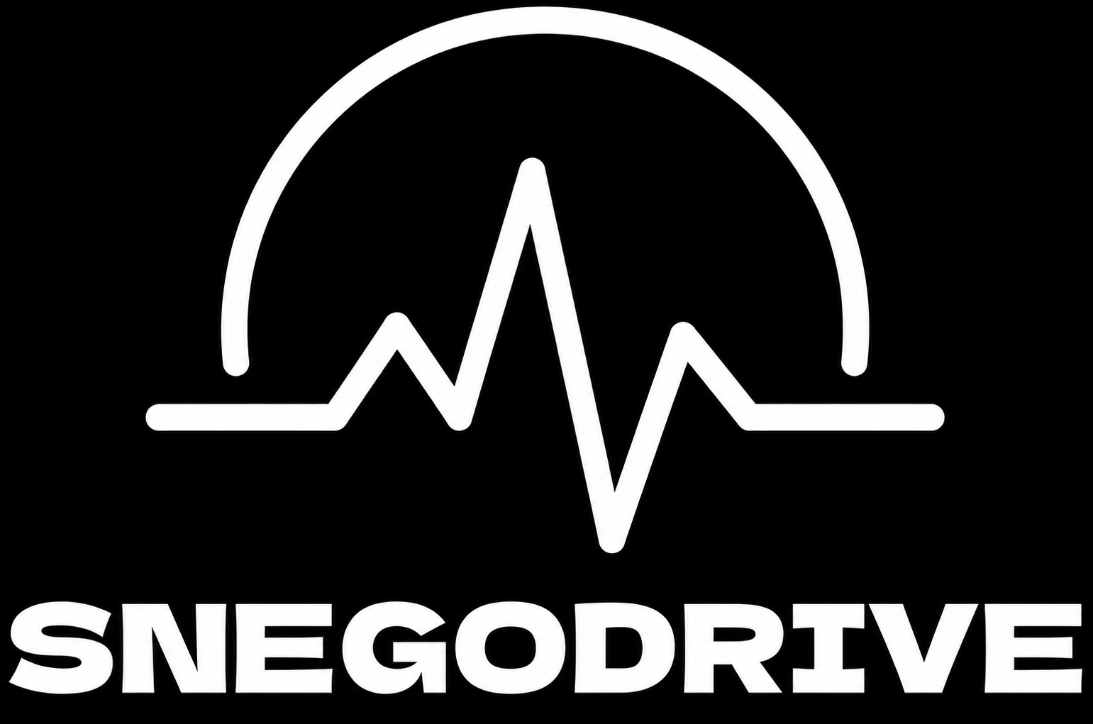 SnegoDrive
