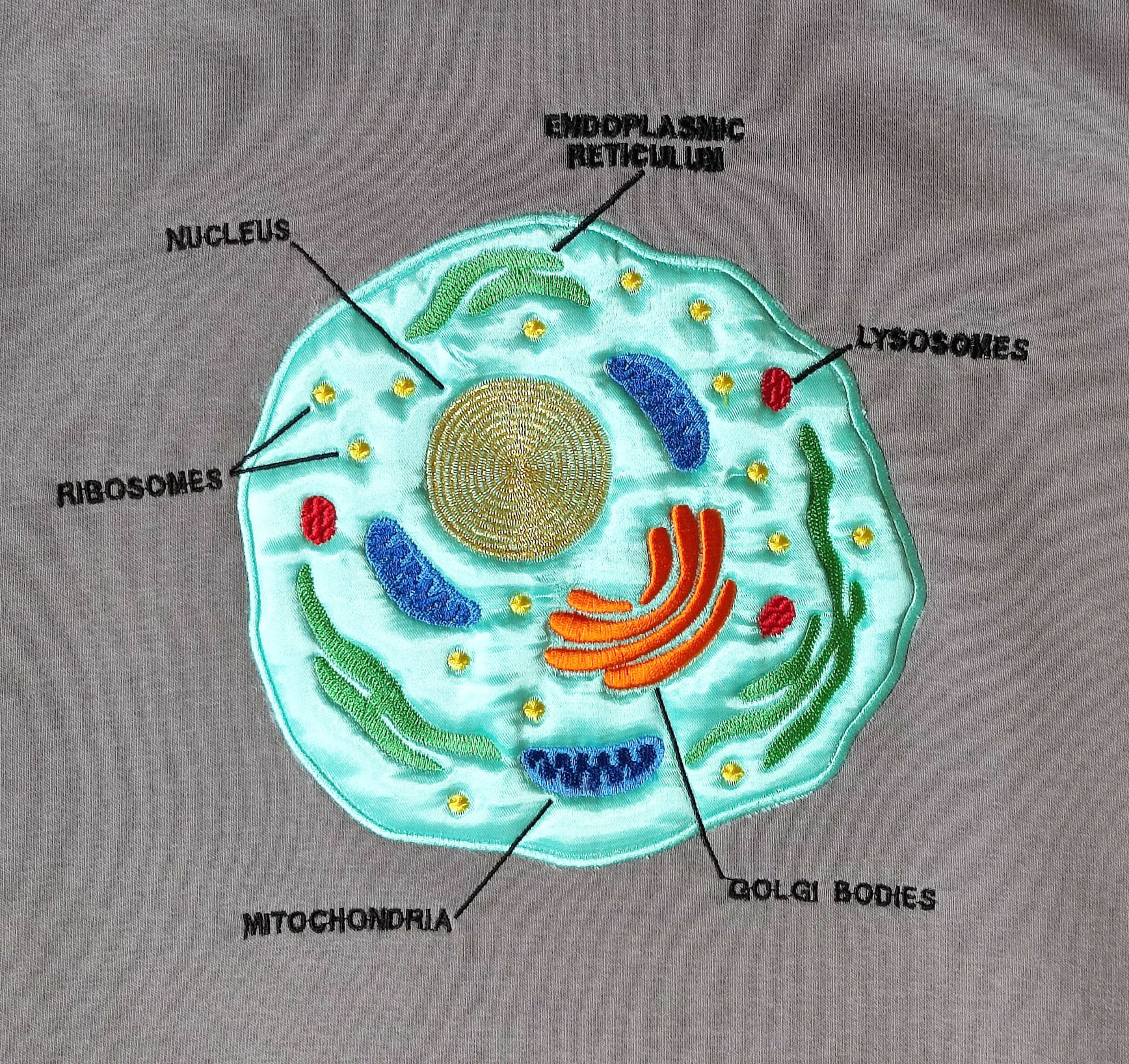 Ядро эукариотической клетки