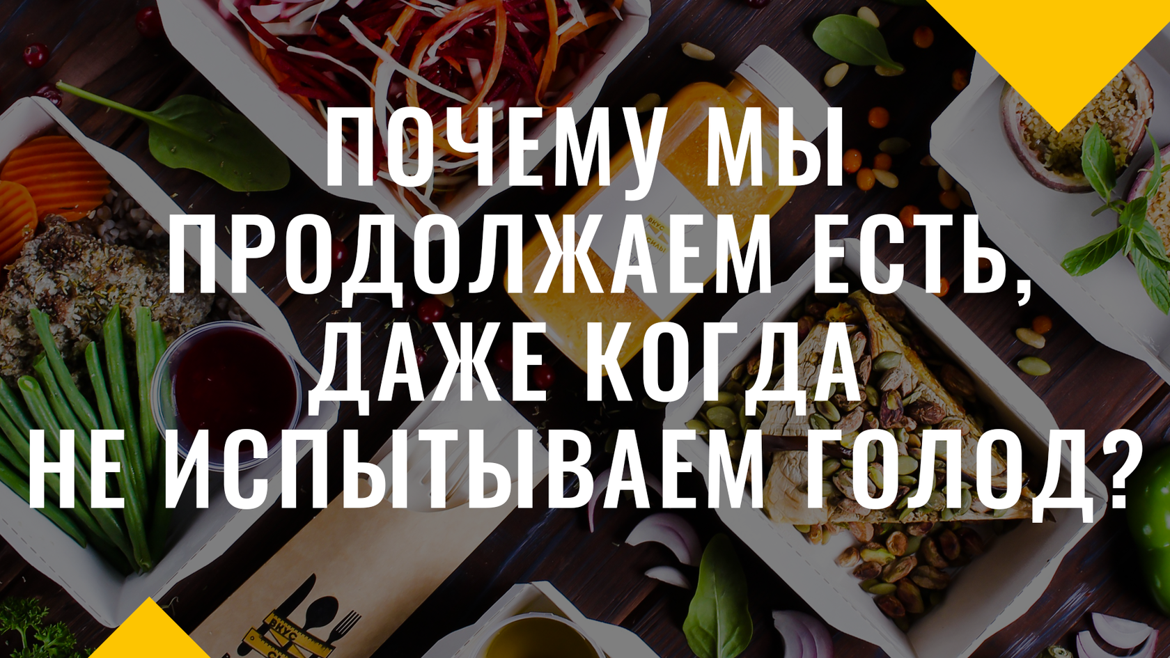 «Главное не оффер, а кайф от того, что делаешь»: путь начинающего Python-разработчика