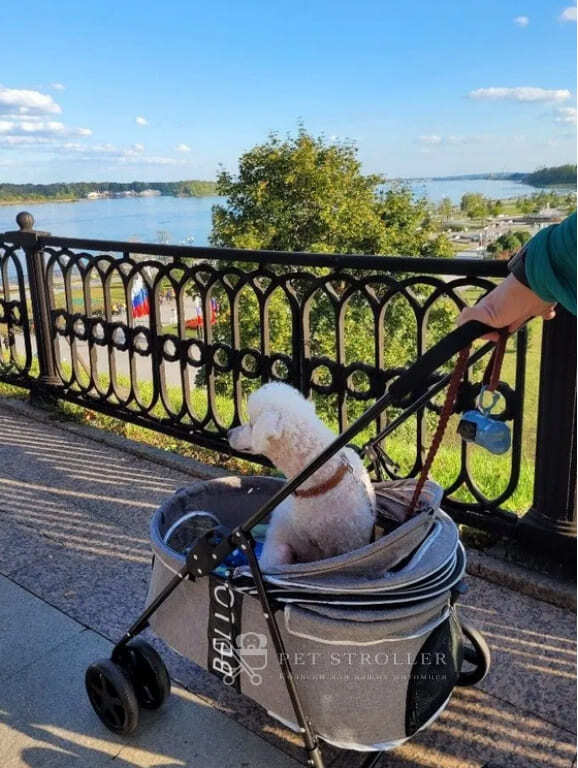Коляска прогулочная для собак bl09-m