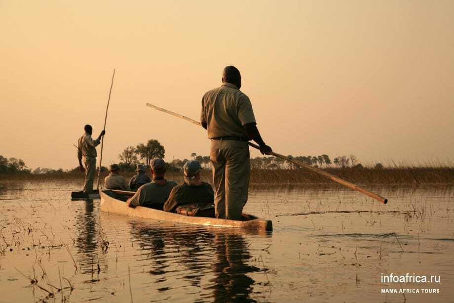 Okavango обзор. Сафари в Окаванго. Дельта Окаванго. Ботсвана сафари. Мокоро Ботсвана.