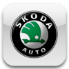 Чип тюнинг Skoda
