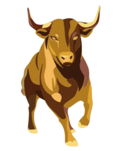 website icon