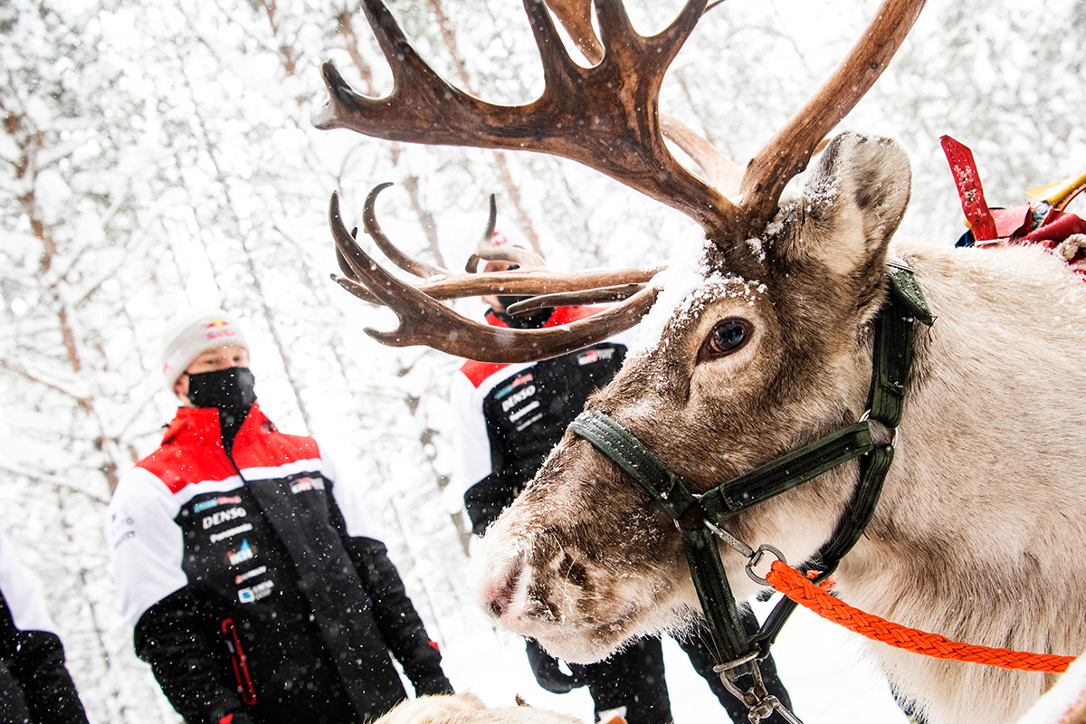 В ожидании Arctic Rally Finland