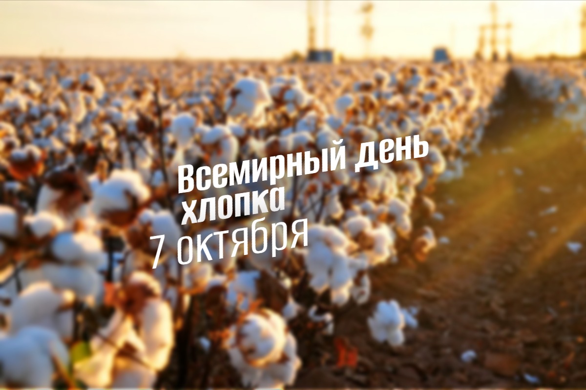 Всемирный день хлопка 7 октября 2025 geek hostel prazdniki