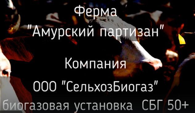 Биогазовый комплекс СБГ 50, единственный в Приамурье