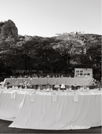 Neponaroshky-wedding-svadba-krym