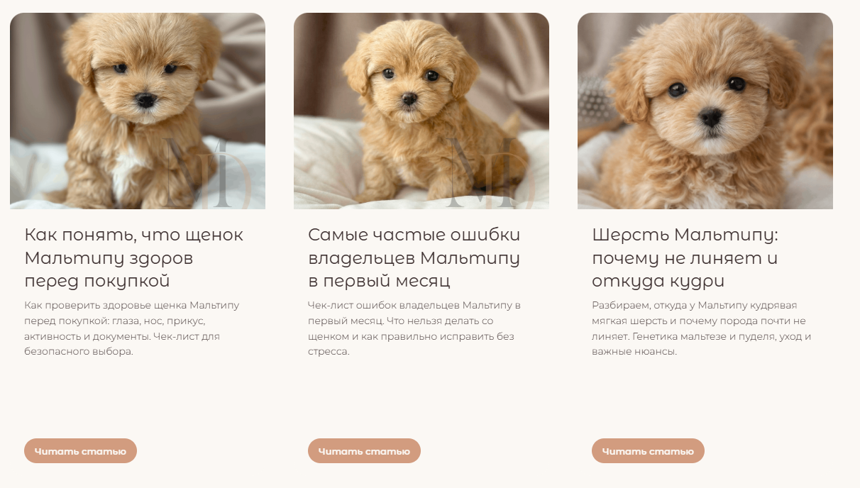 seo статьи для питомника собак