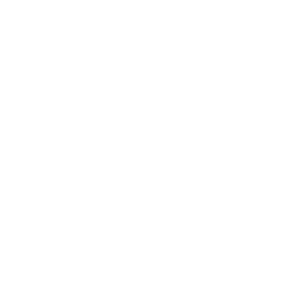 website icon