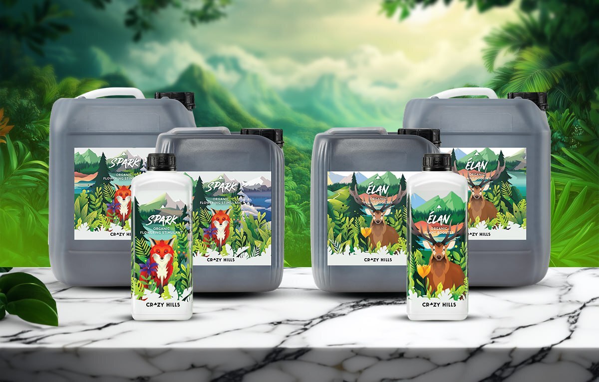 Crazy Hills ELAN และ SPARK