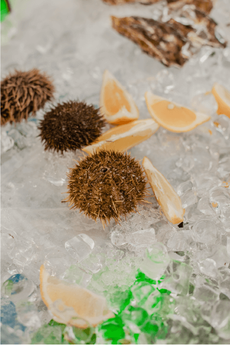 пить и жарить