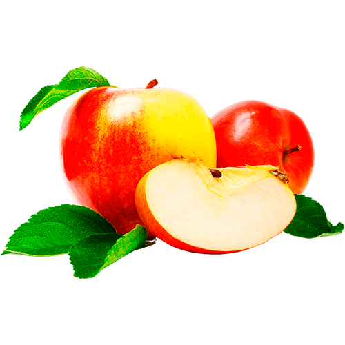 Нормы внесения Гумифулин и Органол для плодовых деревьев