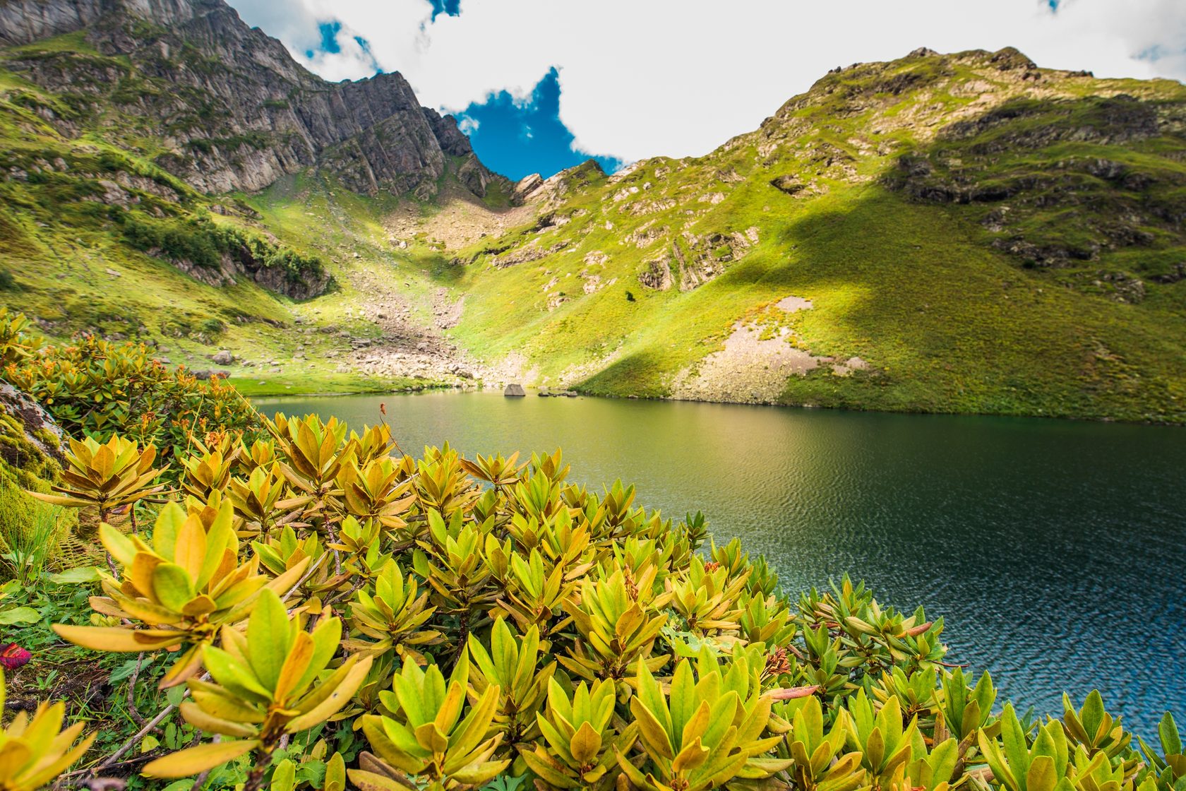 Абхазия в мае фото