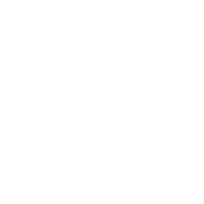 website icon