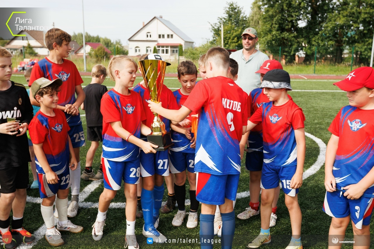 Академия Витязь