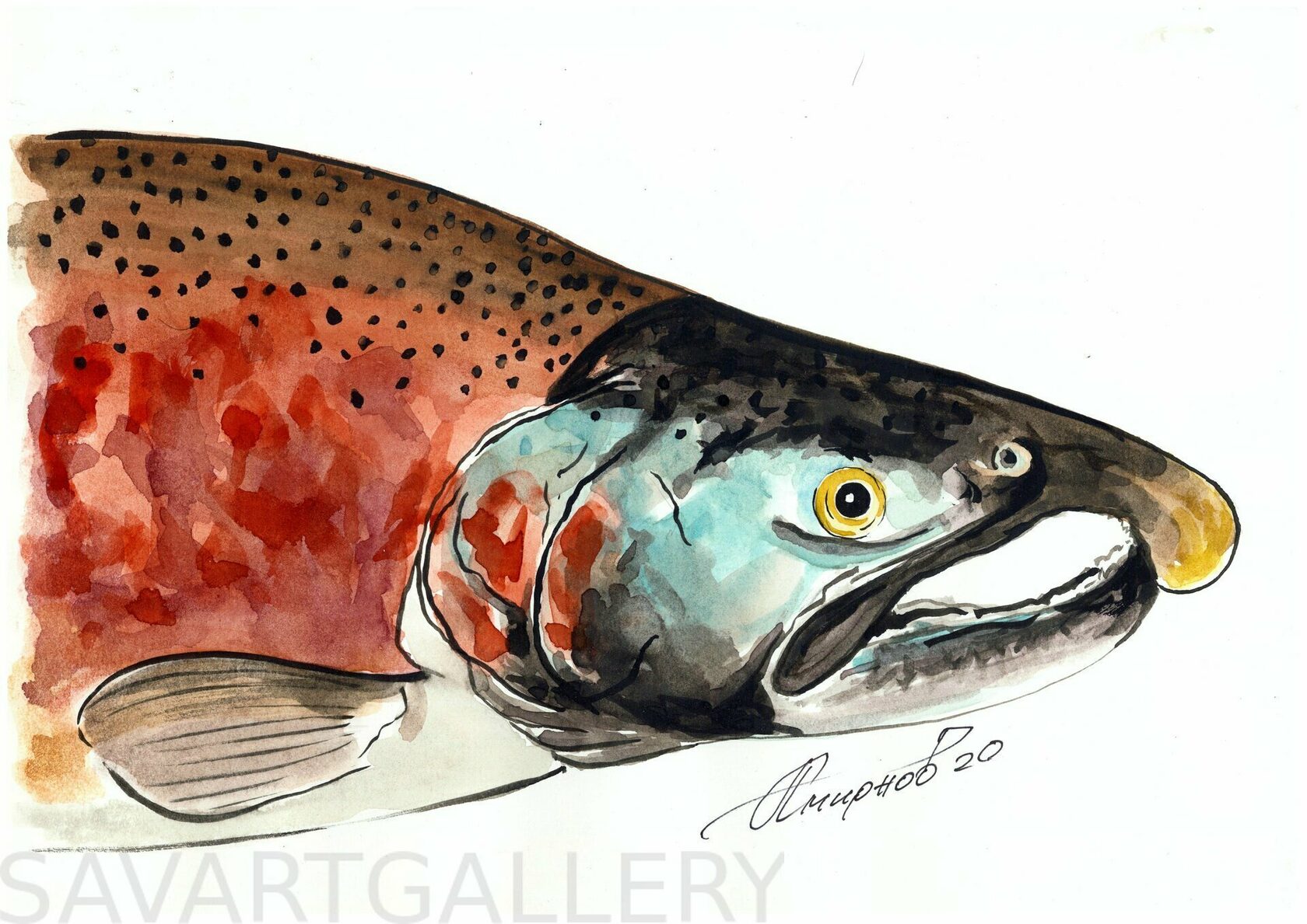 Concept Art Salmon