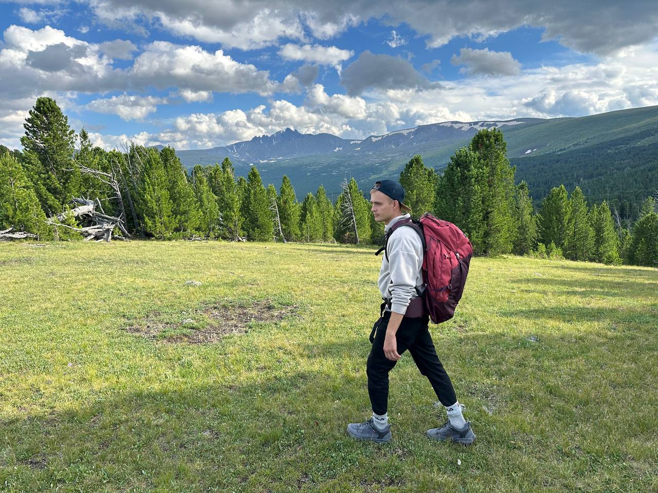 Бег в лесу