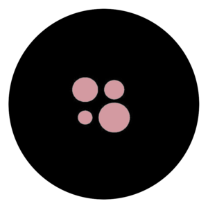website icon