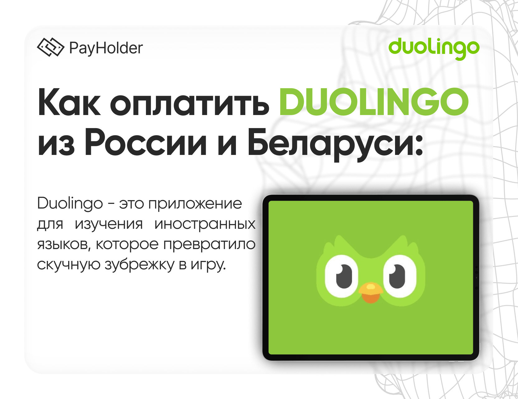 Как оплатить Duolingo Super в 2026 году из России, Беларуси и СНГ
