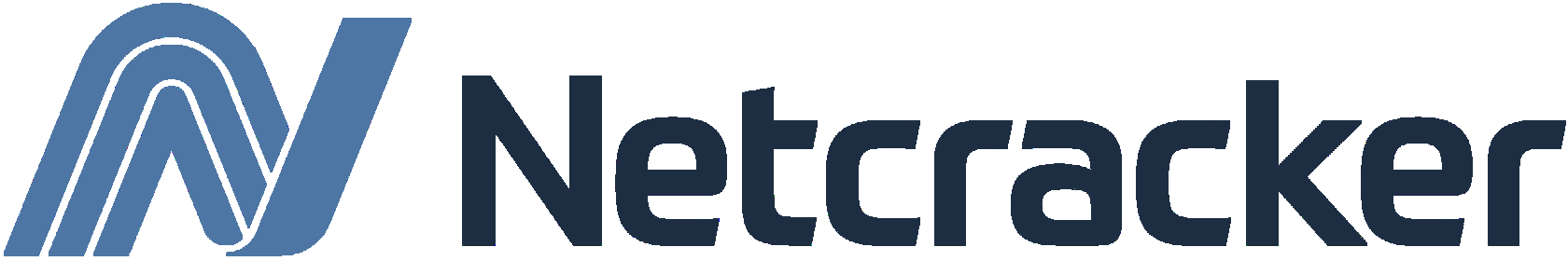 Netcracker Icon Корпоративным клиентам