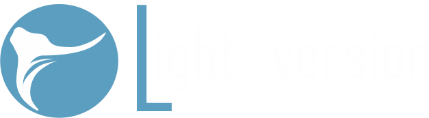 Light-Version