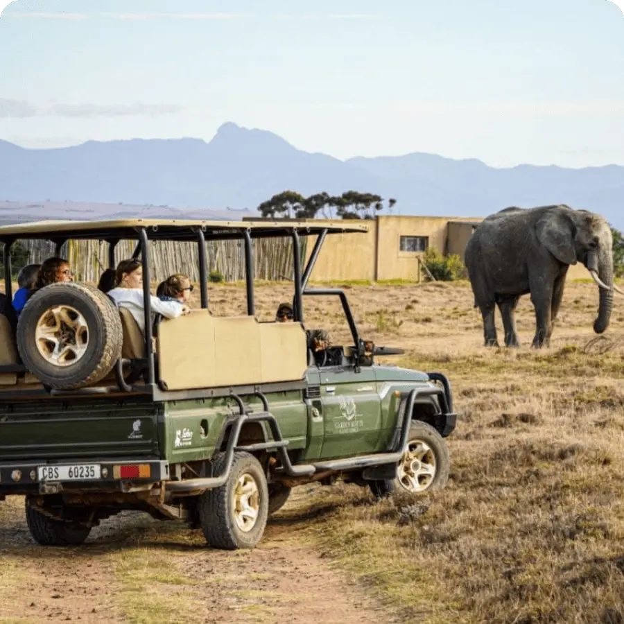 Африканское сафари - Авторский тур в ЮАР