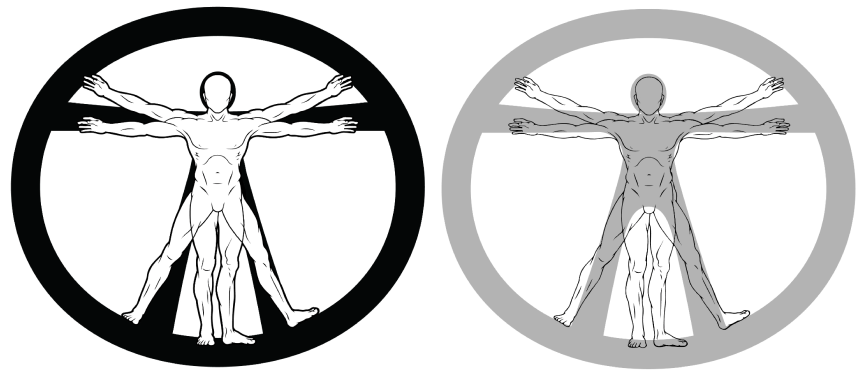 Фото витрувианского человека