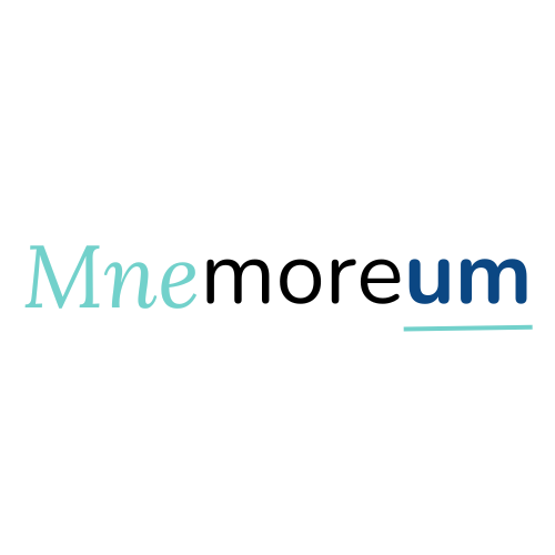  Учебный клуб Mnemoreum 