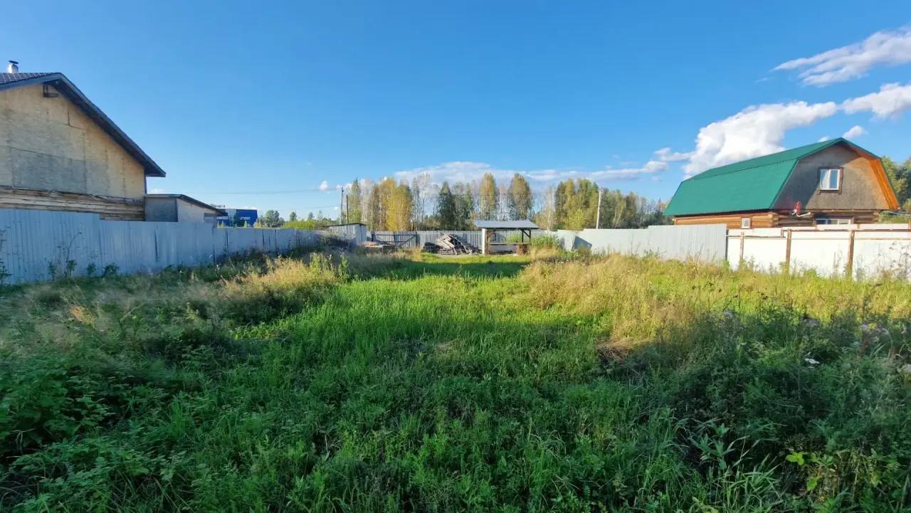 Зелёная часть участка, вид в глубину