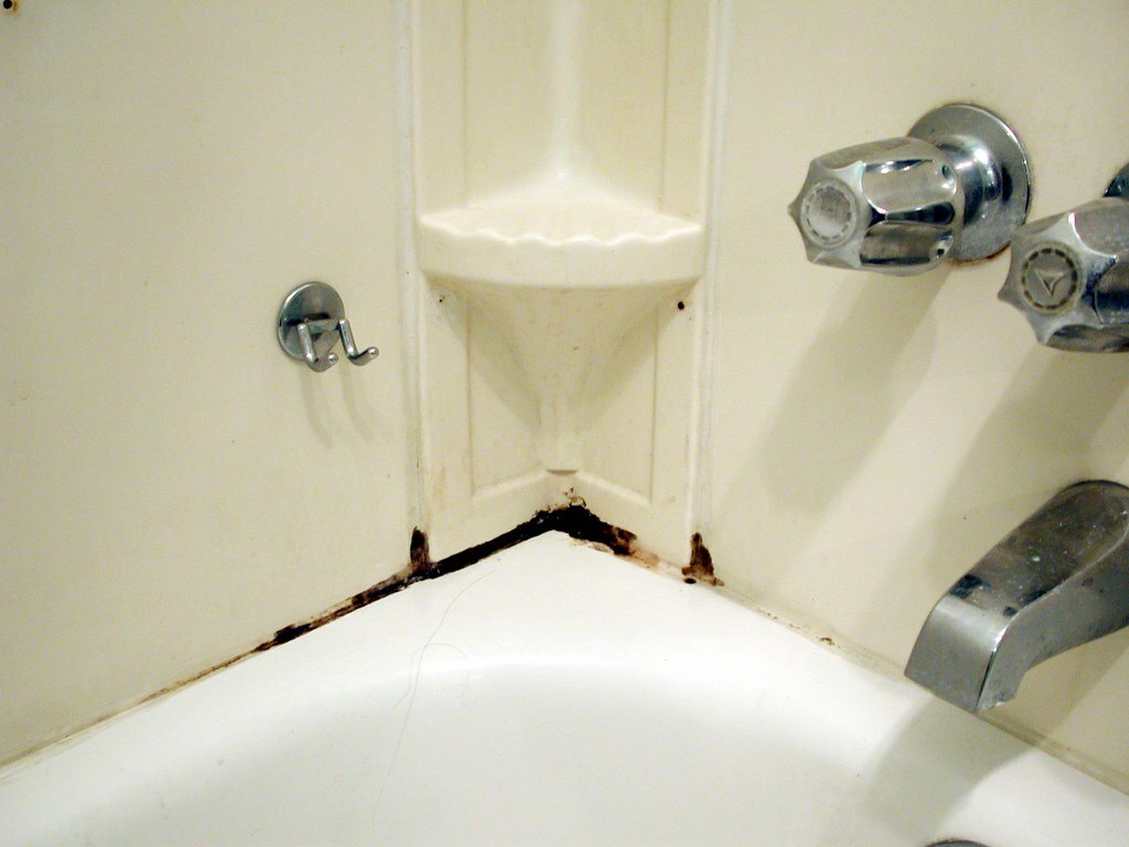 Jak se rychle zbavit černé plísně v koupelně?