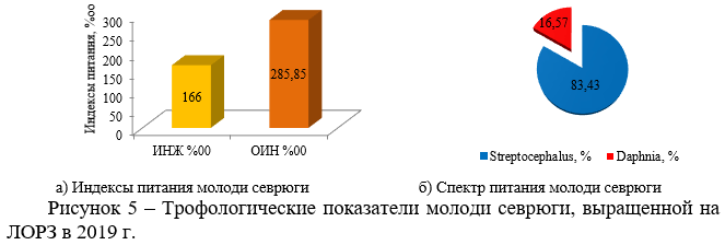 Трофологические показатели молоди севрюги, выращенной на ЛОРЗ в 2019 г.
