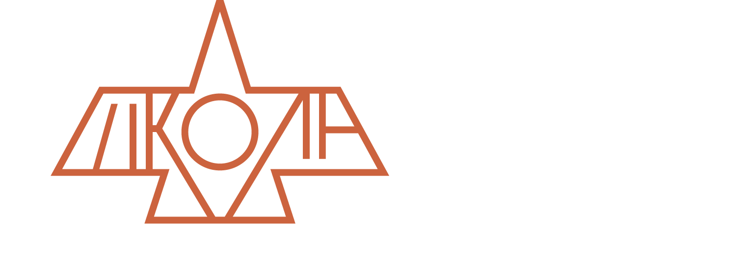 Logotype VSHIM