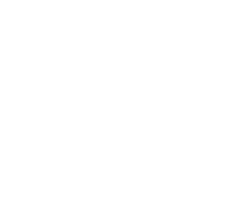 ESA IT