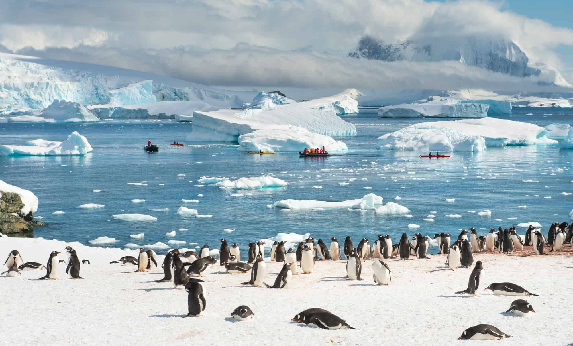 VIP-kruiz-v-Antarkti.jpg