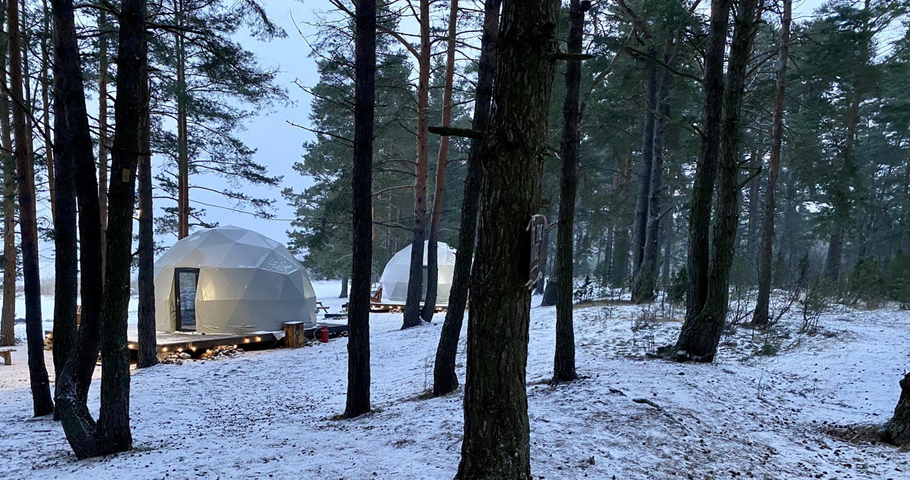 чудское озеро глэмпинг. Forest lake глэмпинг спб. отель купол ленобласть. Forest lake глэмпинг спб. глэмпинг алтай телецкое озеро.