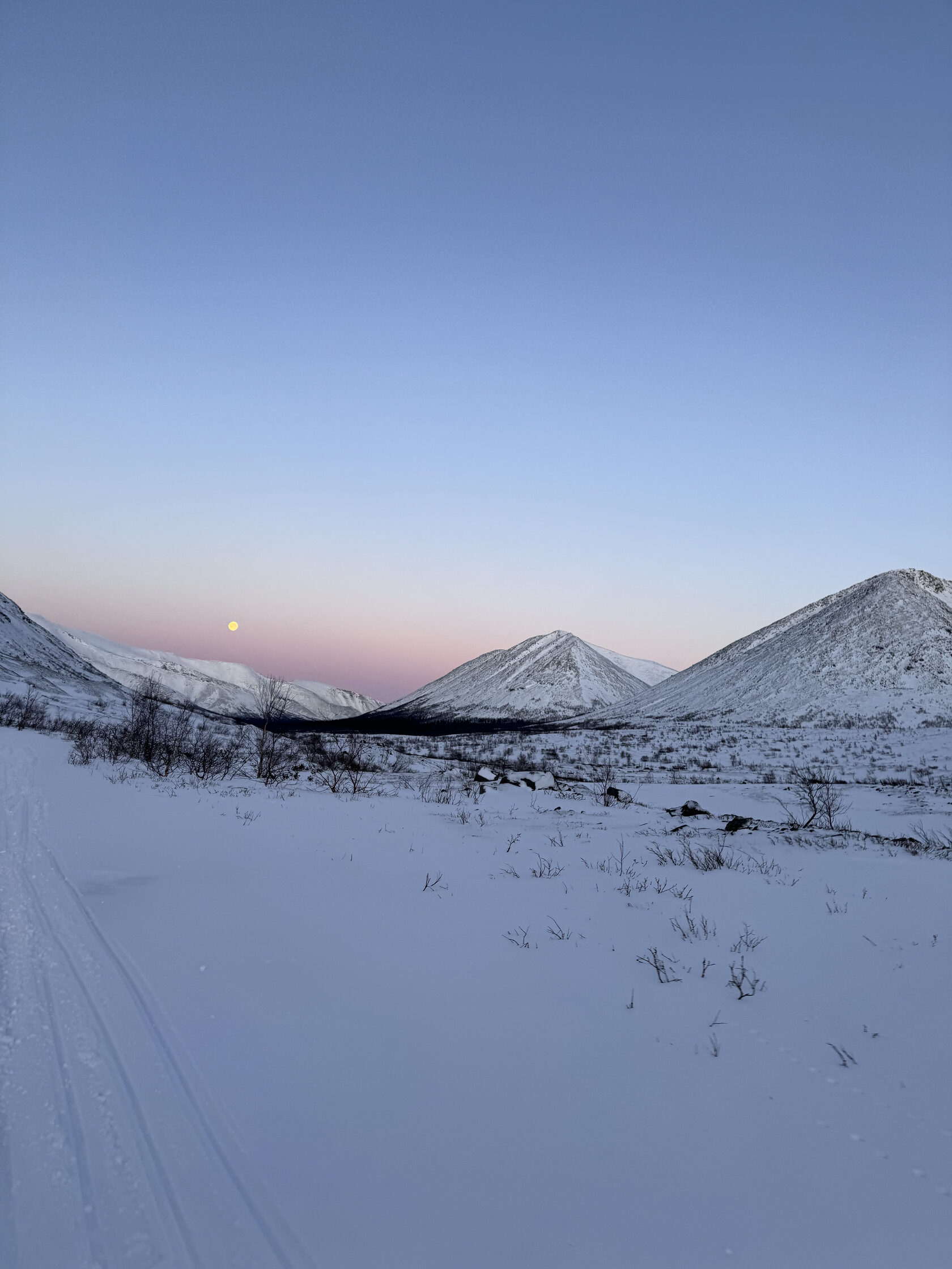 Туры в Териберку