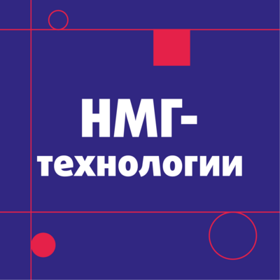 Стажировка в НМГ 2024