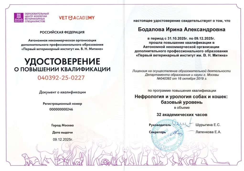 Удостоверение Бодалова И.А.