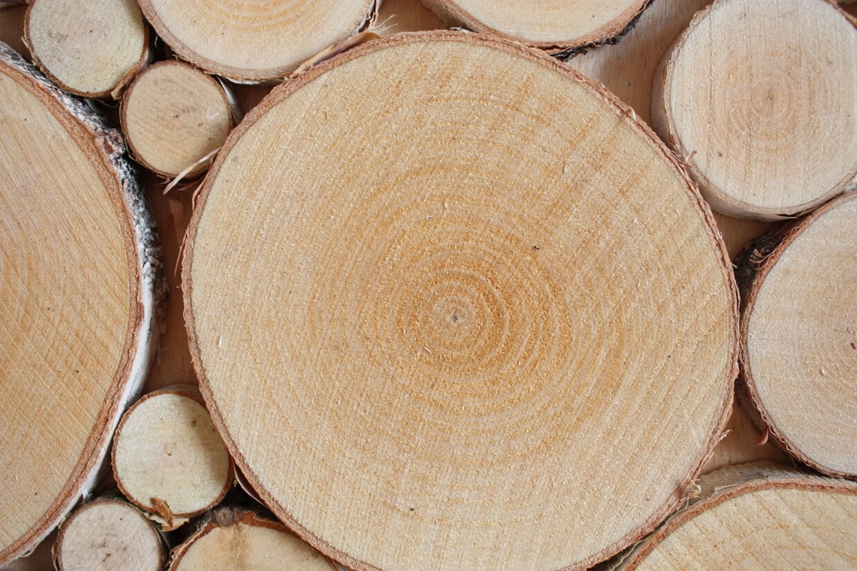 Купить Спилы Дерева Ростов На Дону