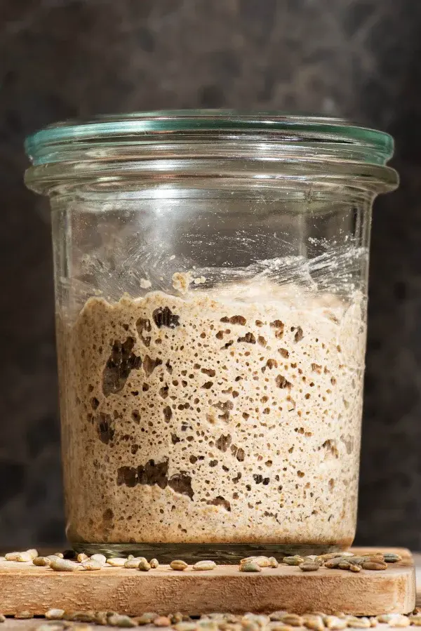 Weak sourdough starter showing little rise after feeding