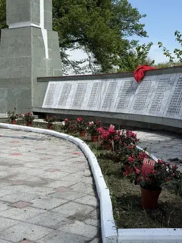 Цветущие азалии вдоль стены с именами погибших односельчан