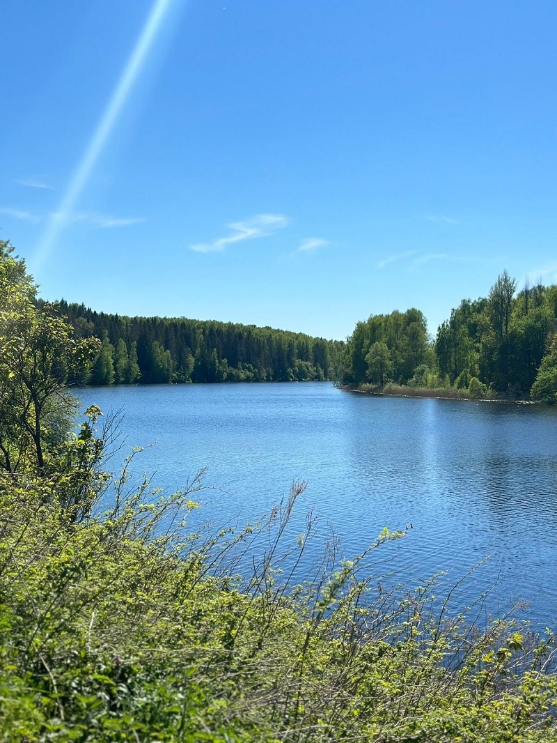 участок на вазузском водохранилище