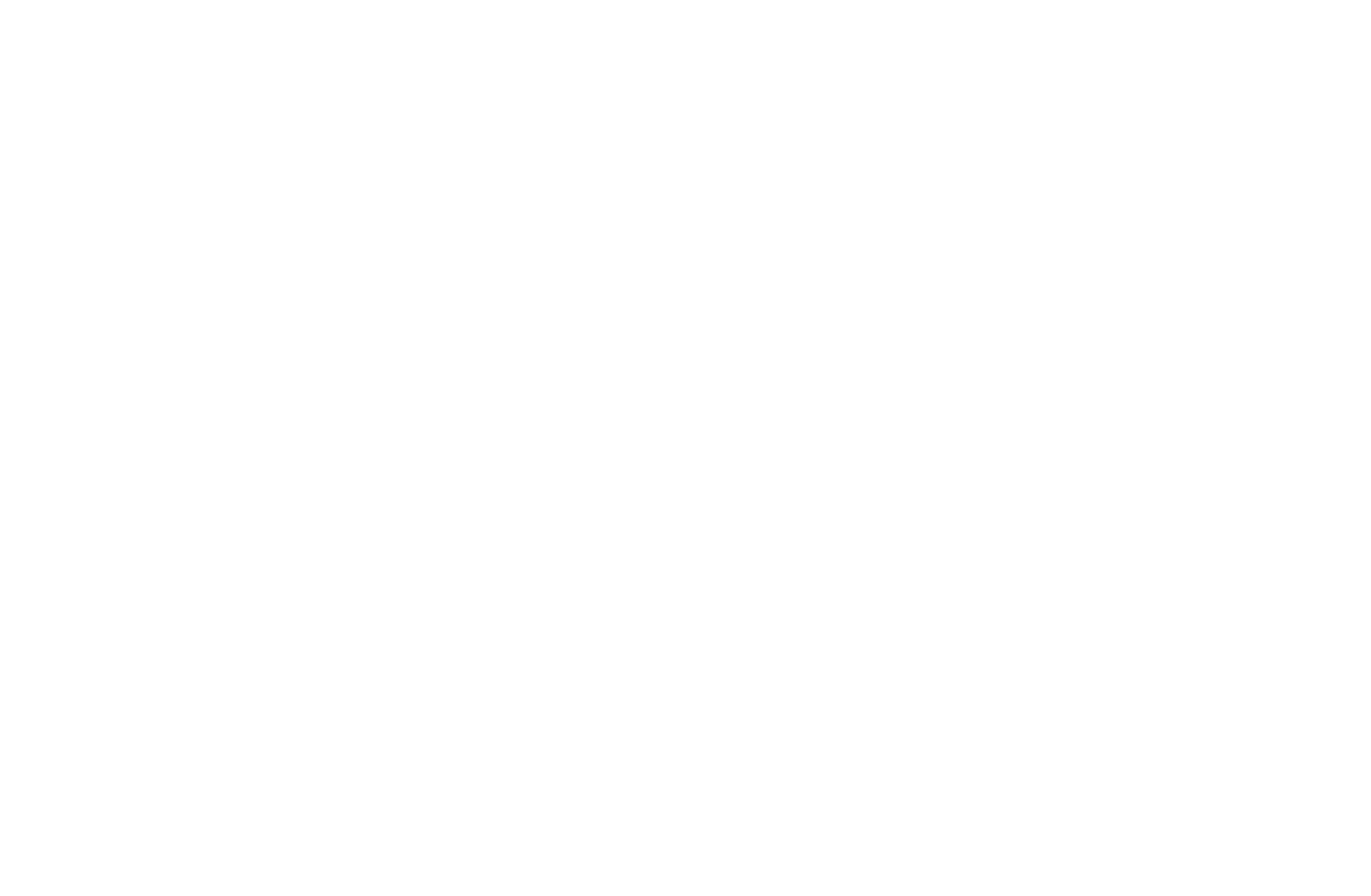 CHI AUTO
