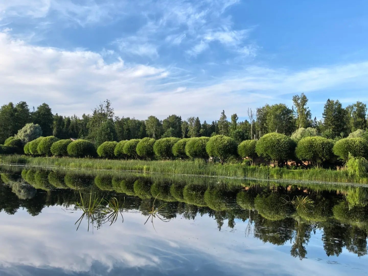 вода для системы автополива